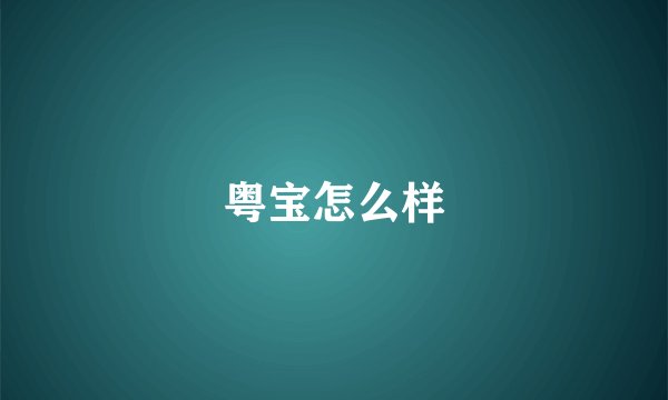 粤宝怎么样