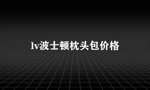 lv波士顿枕头包价格