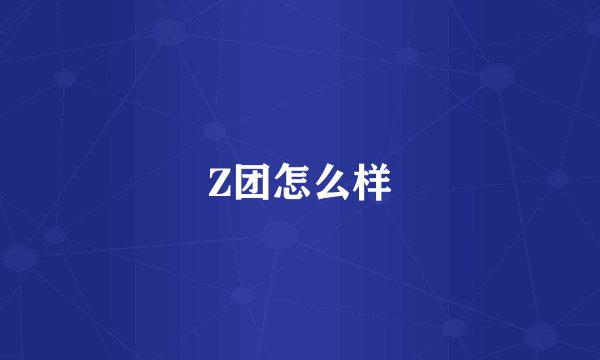 Z团怎么样