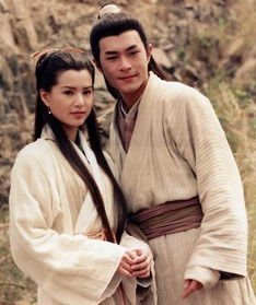 《神雕侠侣》中杨过最后到底怎么死的?