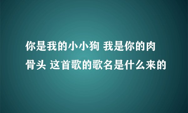 你是我的小小狗 我是你的肉骨头 这首歌的歌名是什么来的