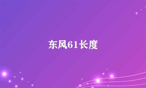 东风61长度
