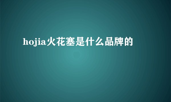 hojia火花塞是什么品牌的
