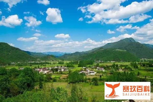 谁在我家(祖辈的陈年旧事)