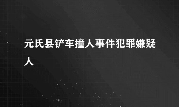 元氏县铲车撞人事件犯罪嫌疑人