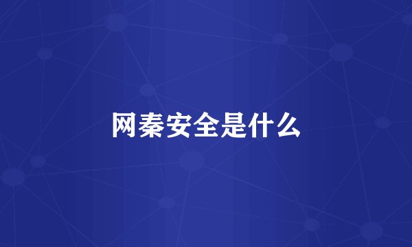 网秦安全是什么