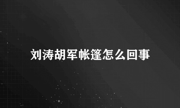 刘涛胡军帐篷怎么回事