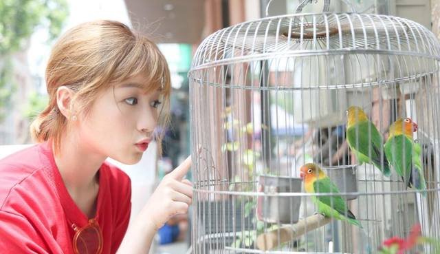 吴昕为何离开快乐大本营?