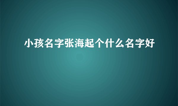 小孩名字张海起个什么名字好