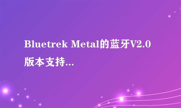 Bluetrek Metal的蓝牙V2.0版本支持哪些主要功能？