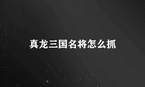真龙三国名将怎么抓