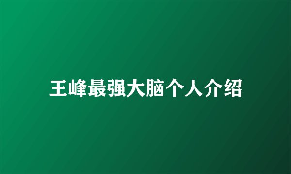 王峰最强大脑个人介绍