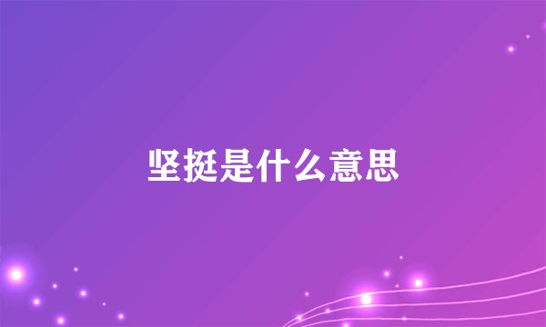 坚挺是什么意思
