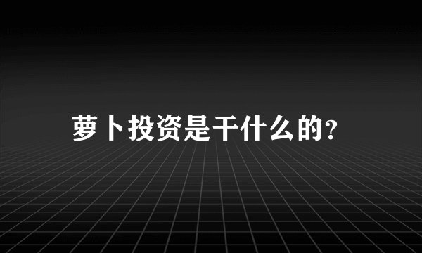 萝卜投资是干什么的？