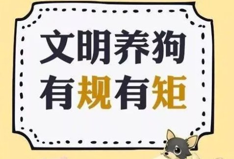 狗狗进饭店,还站在婴儿座椅里进食,该店的卫生问题值得相信吗?