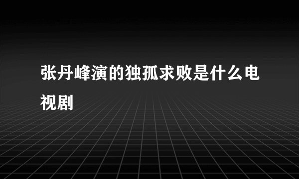 张丹峰演的独孤求败是什么电视剧