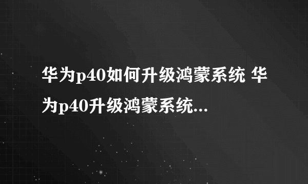 华为p40如何升级鸿蒙系统 华为p40升级鸿蒙系统的方法介绍