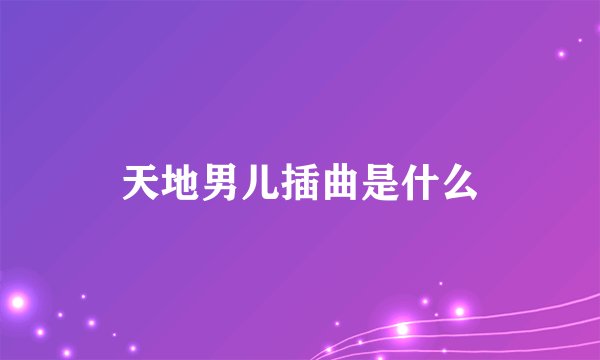 天地男儿插曲是什么