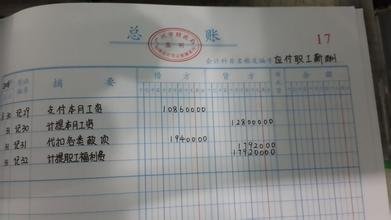 日记账、明细账和总账的样本有吗？