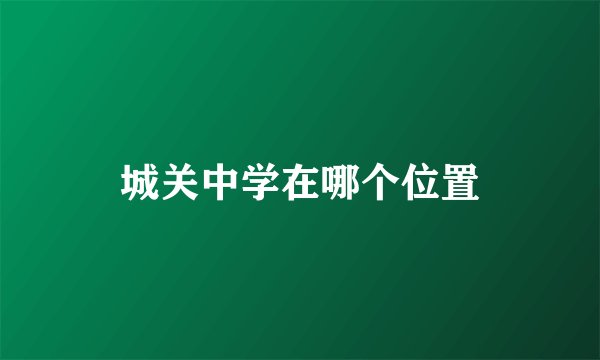 城关中学在哪个位置