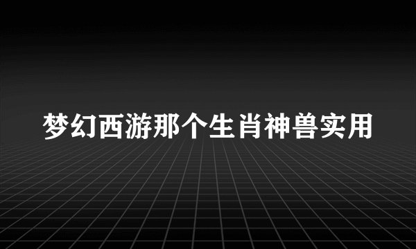 梦幻西游那个生肖神兽实用