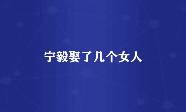 宁毅娶了几个女人