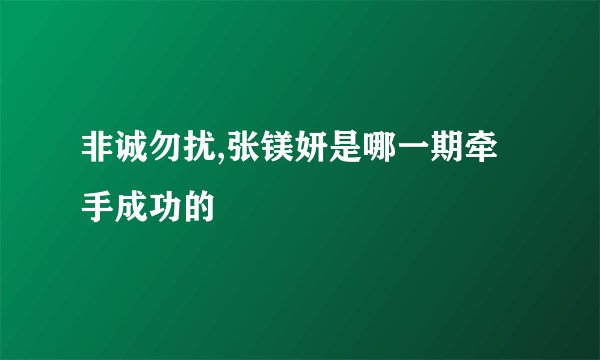 非诚勿扰,张镁妍是哪一期牵手成功的