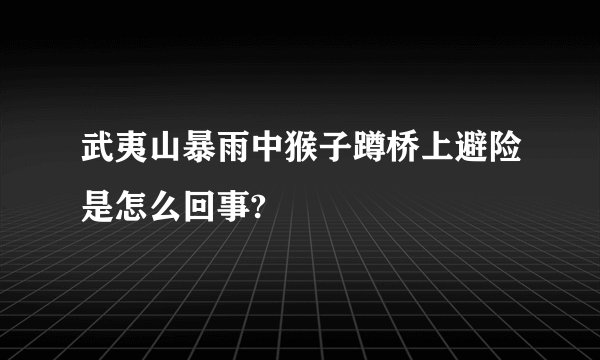 武夷山暴雨中猴子蹲桥上避险是怎么回事?