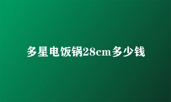 多星电饭锅28cm多少钱