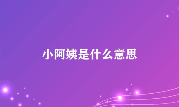 小阿姨是什么意思