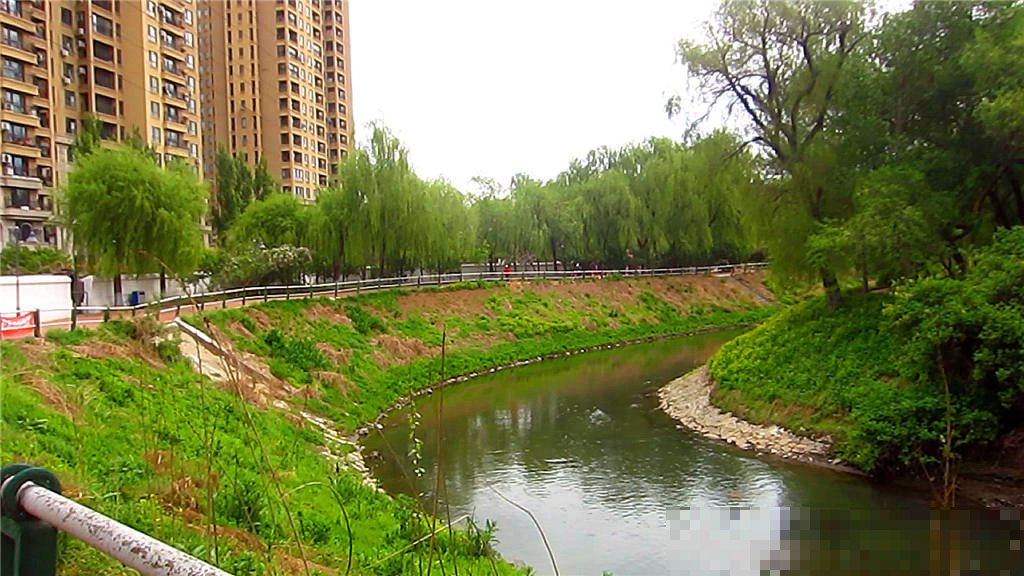 哈尔滨马家沟河水干净吗
