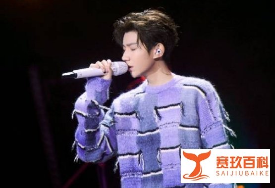 王源音乐更像艺术品,《谁是宝藏歌手》总决赛生图,歌手百炼成钢