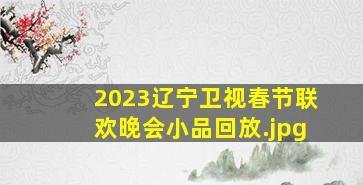 2023辽宁卫视春节联欢晚会小品回放（辽宁卫视2023年跨年晚会节目单）