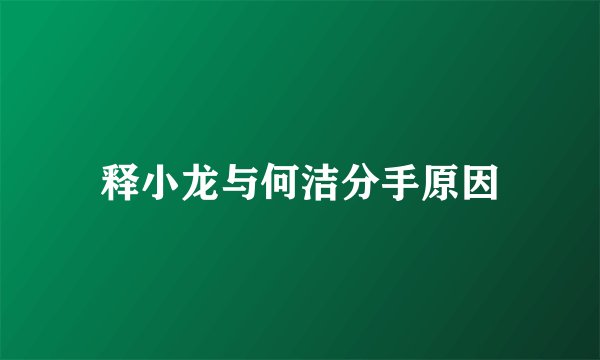 释小龙与何洁分手原因