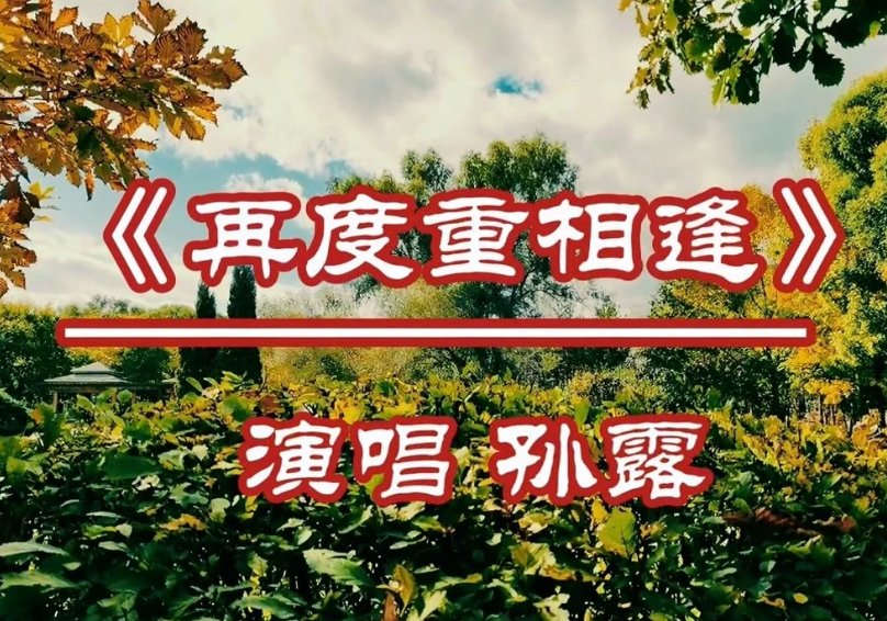 简单爱你心所爱原唱孙露