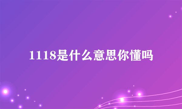 1118是什么意思你懂吗