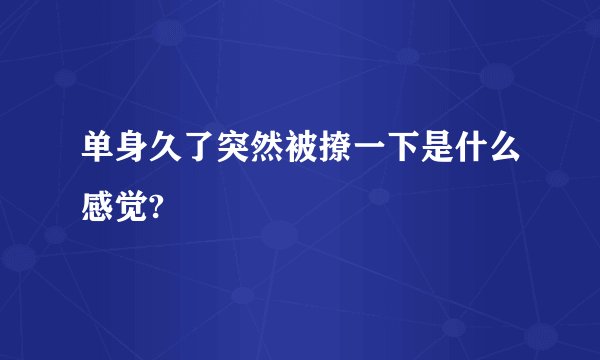 单身久了突然被撩一下是什么感觉?
