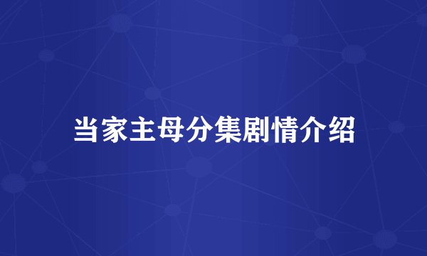当家主母分集剧情介绍