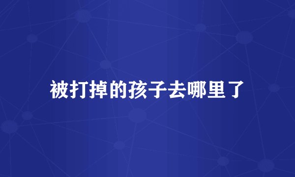 被打掉的孩子去哪里了