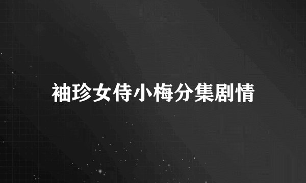 袖珍女侍小梅分集剧情