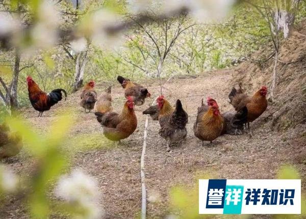 湖南裕农园怎么样?
