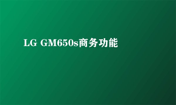 LG GM650s商务功能