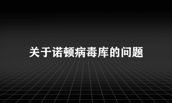 关于诺顿病毒库的问题