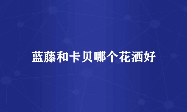 蓝藤和卡贝哪个花洒好