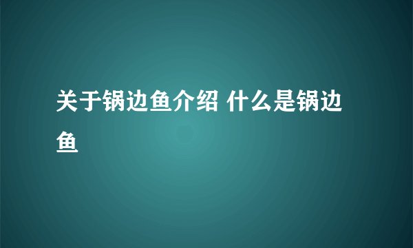 关于锅边鱼介绍 什么是锅边鱼
