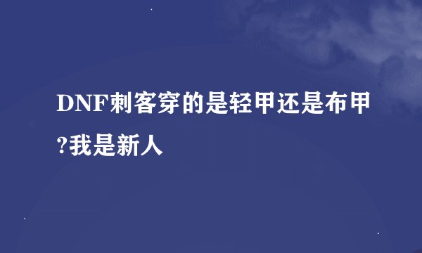DNF刺客穿的是轻甲还是布甲?我是新人