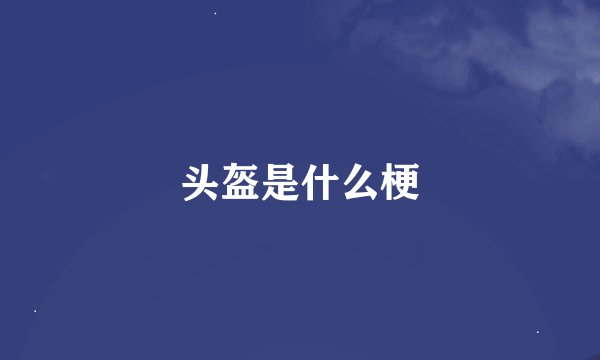 头盔是什么梗
