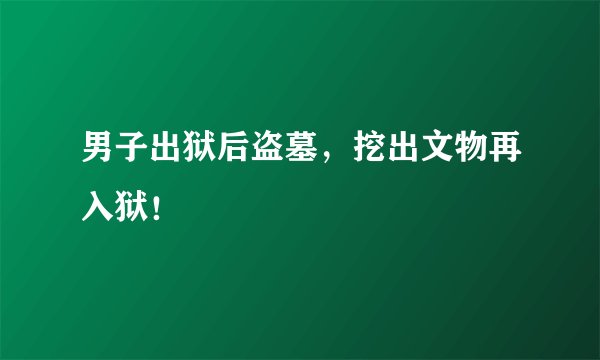 男子出狱后盗墓，挖出文物再入狱！