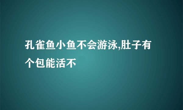 孔雀鱼小鱼不会游泳,肚子有个包能活不