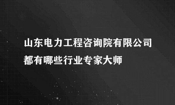 山东电力工程咨询院有限公司都有哪些行业专家大师